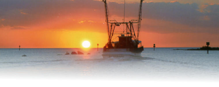 Florida Fishing Charters, Florida Fishing Guides, Inshore Fishing Charters, Offshore Fishing Charters, Charter Fishing Guides, Big Bend, Steinhatchee, Cedar Key, Yankeetown, Crystal River, Homosassa, Chassahowitzka, Hernando Beach, Naples, Key Largo, Isla